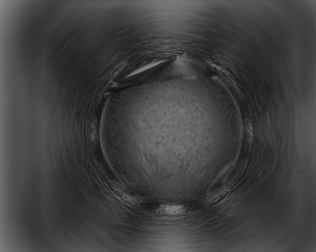 X0000052640665200507160158