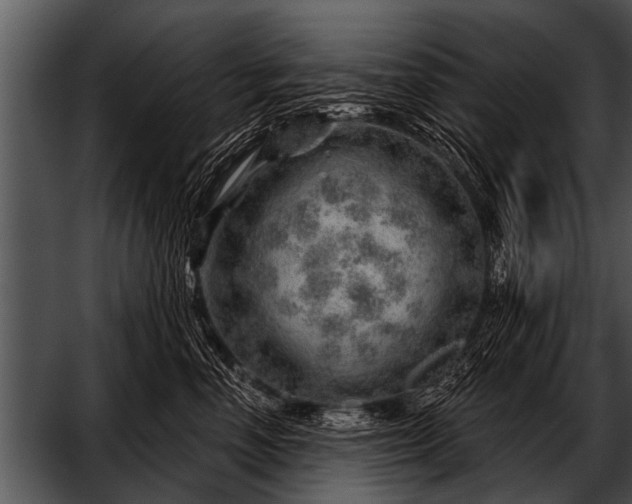 X0000052640666200507160158