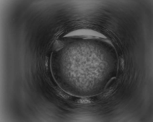 X0000052640668200507160158