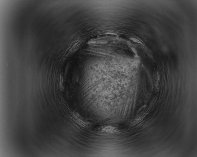 X0000052640669200507160158