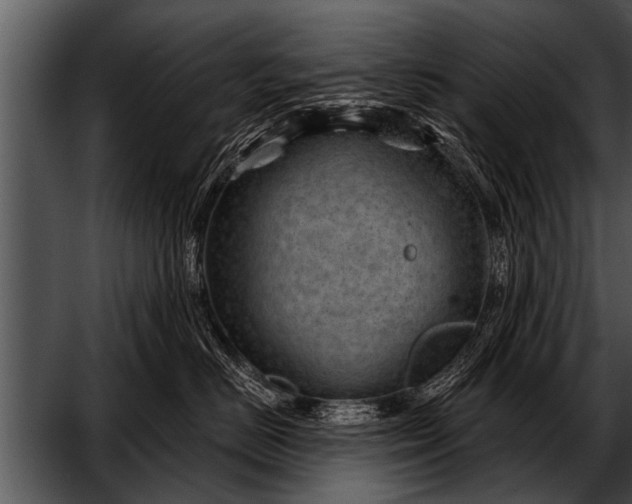 X0000052640670200507160158