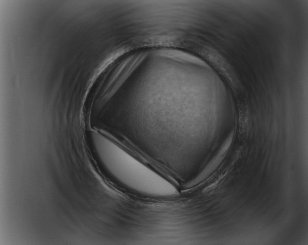 X0000052640674200507160157