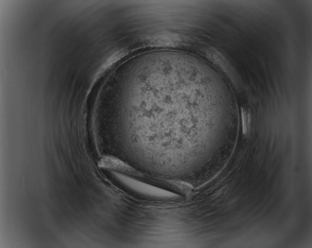 X0000052640675200507160157