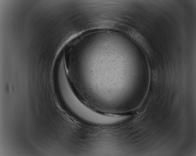 X0000052640676200507160157