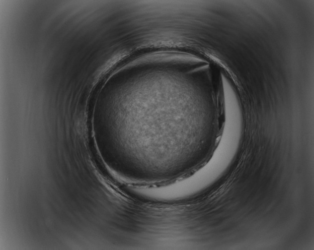 X0000052640677200507160157