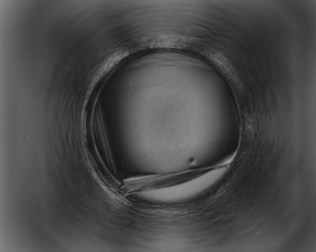 X0000052640678200507160157