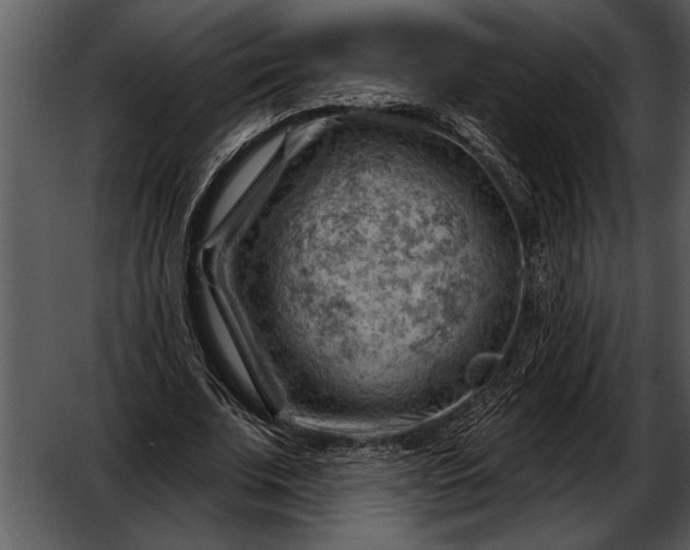 X0000052640679200507160157