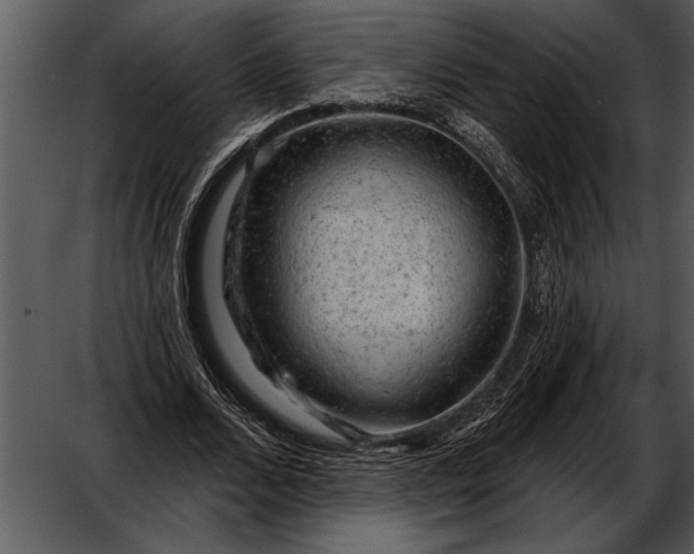 X0000052640680200507160157