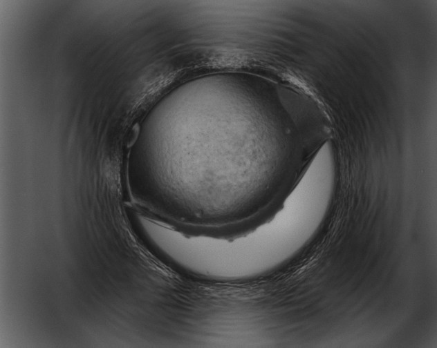 X0000052640681200507160157