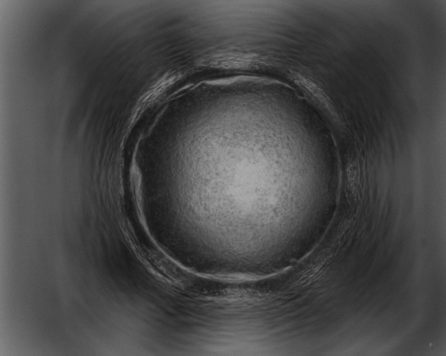 X0000052640682200507160157