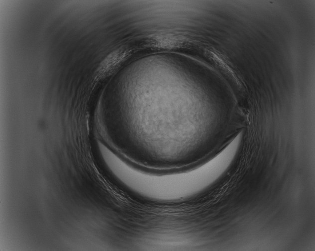 X0000052640685200507160157