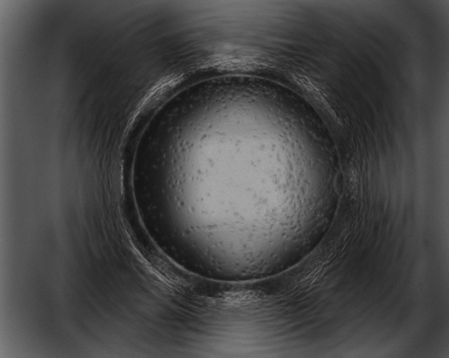 X0000052640686200507160157