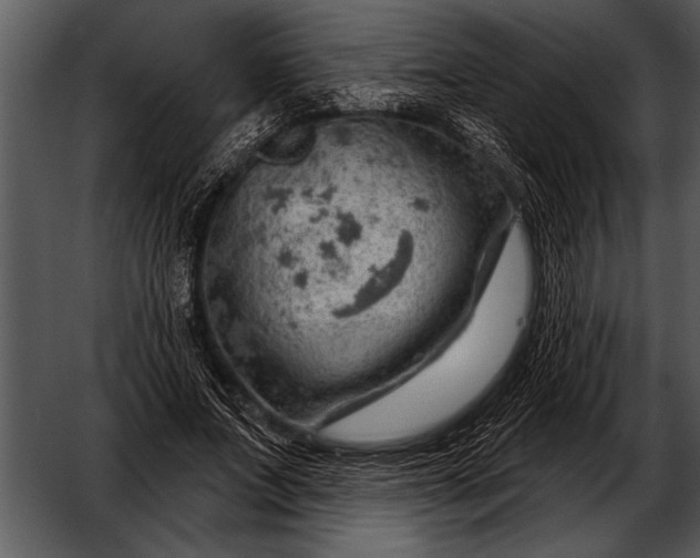 X0000052640687200507160157