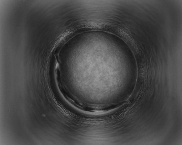 X0000052640688200507160157