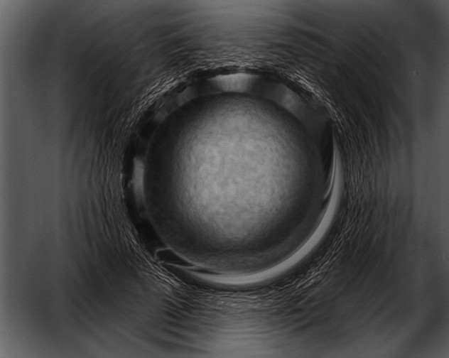 X0000052640689200507160157