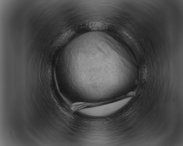 X0000052640690200507160157