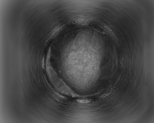 X0000052640693200507160157