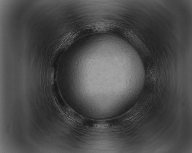 X0000052640694200507160157