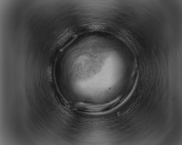 X0000052640696200507160157