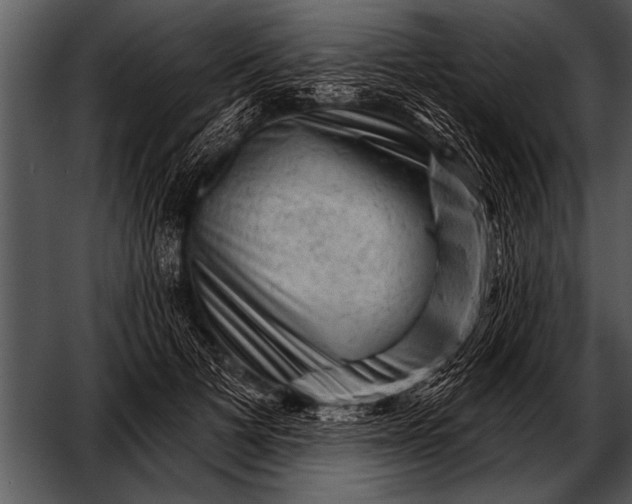 X0000052640697200507160157