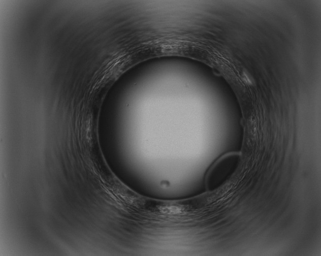 X0000052640698200507160157