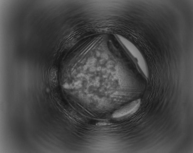 X0000052640699200507160157