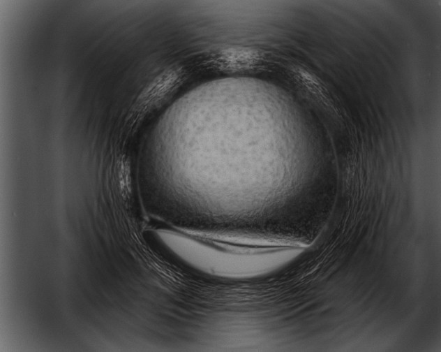 X0000052640700200507160157