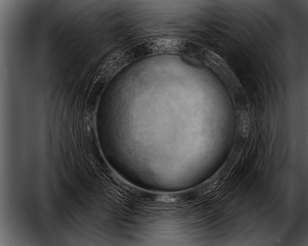 X0000052640701200507160157