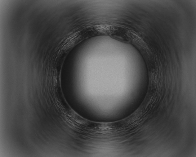 X0000052640702200507160157