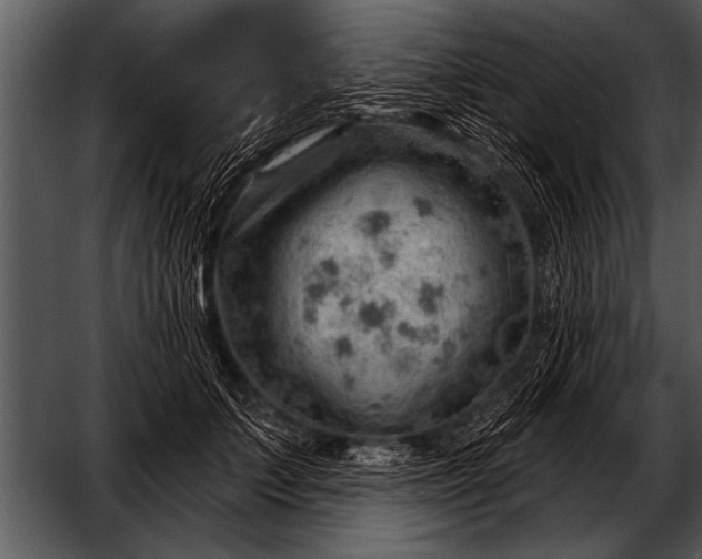 X0000052640703200507160157