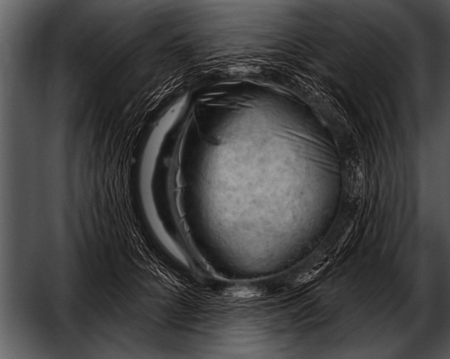 X0000052640704200507160157