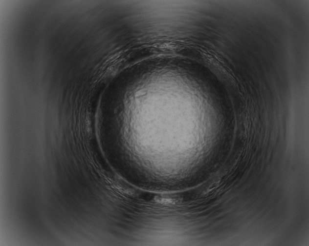 X0000052640706200507160157