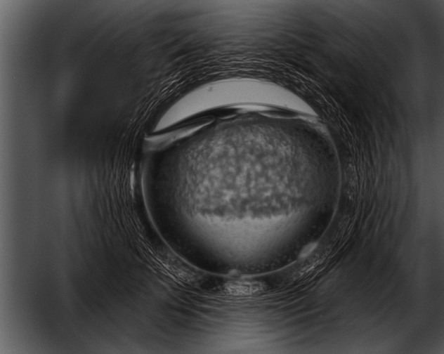 X0000052640707200507160157