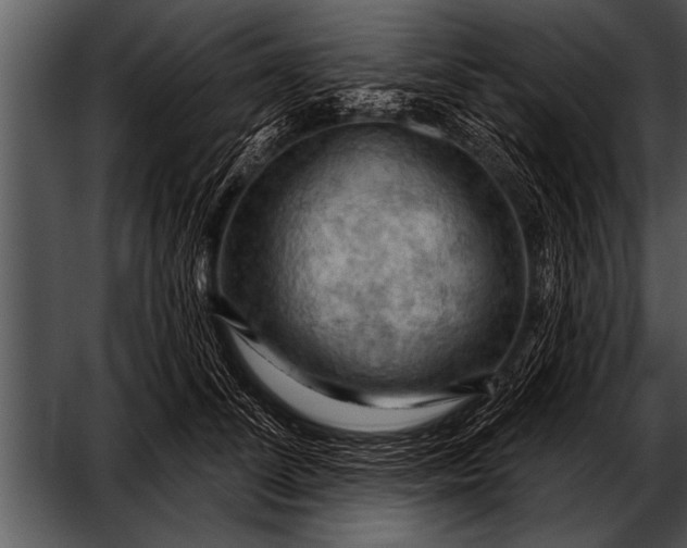 X0000052640708200507160157