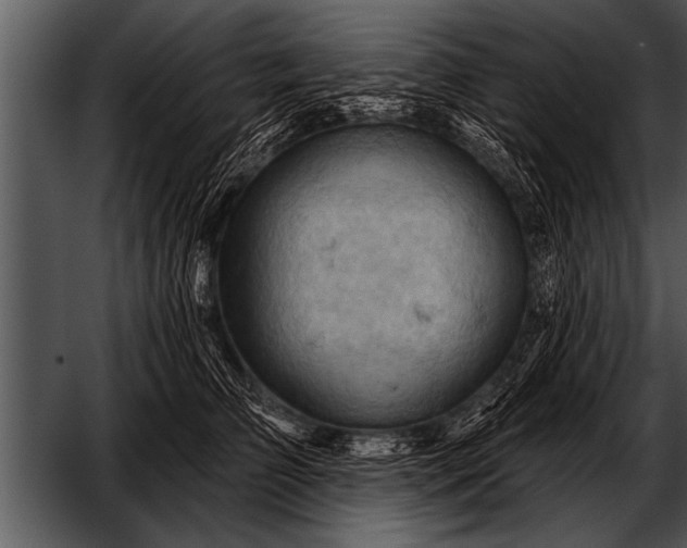 X0000052640709200507160157