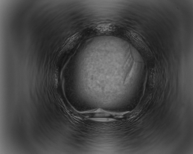 X0000052640710200507160157