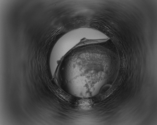 X0000052640711200507160157