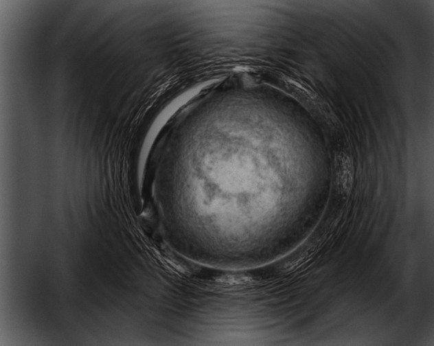 X0000052640712200507160157