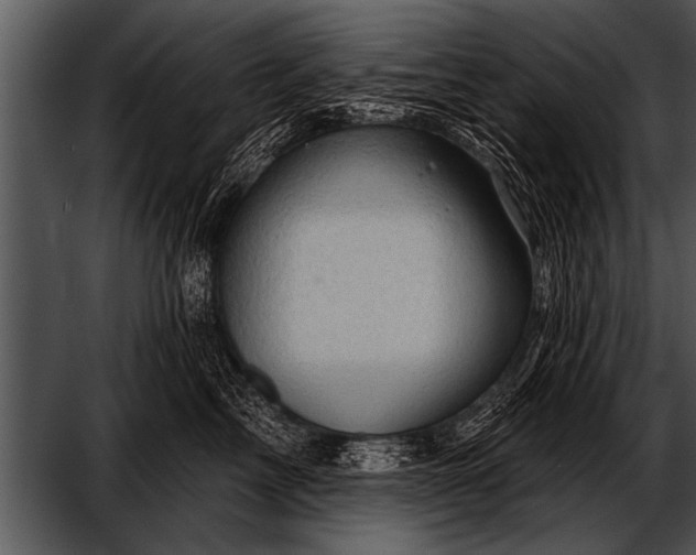 X0000052640713200507160157