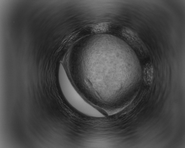 X0000052640714200507160157