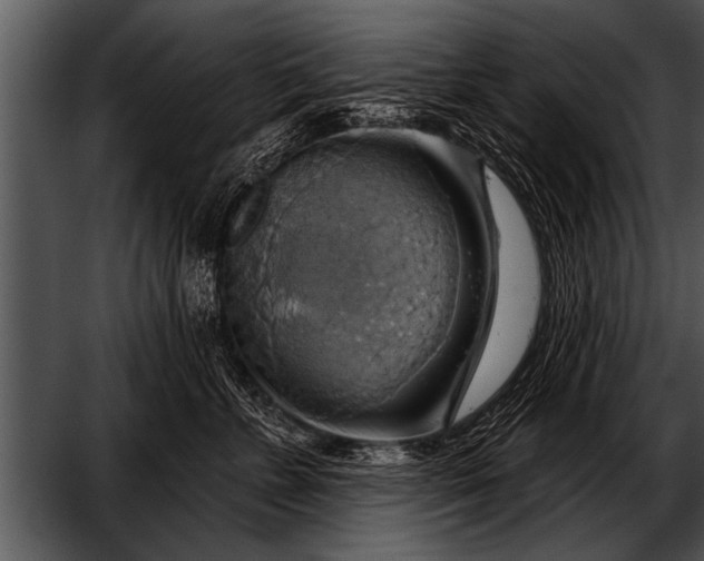 X0000052640715200507160157