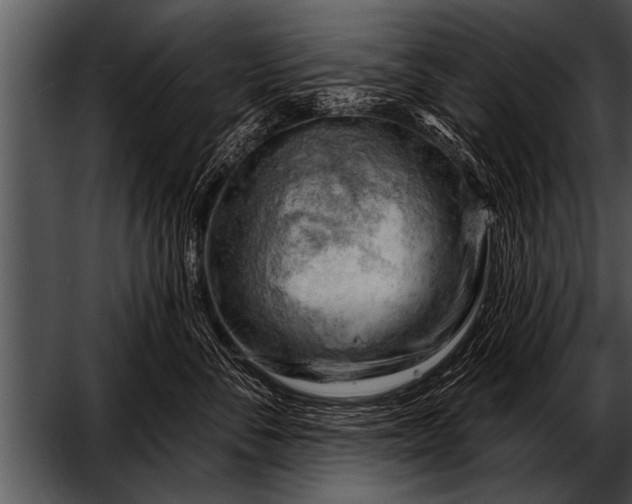 X0000052640716200507160157