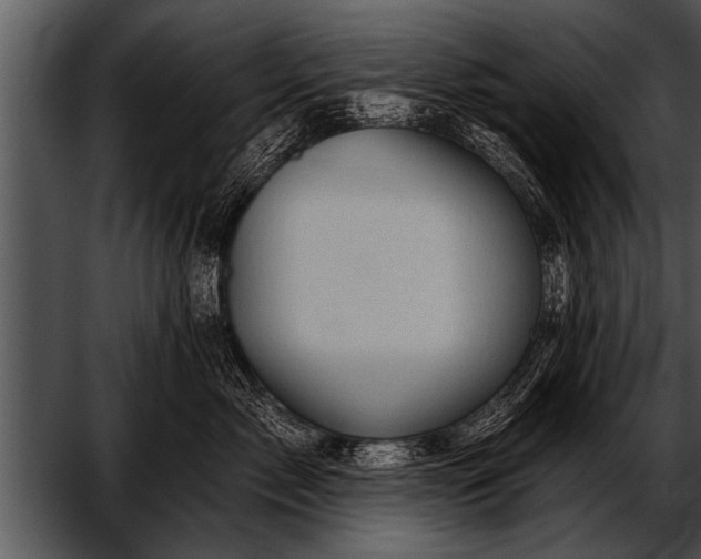 X0000052640717200507160157