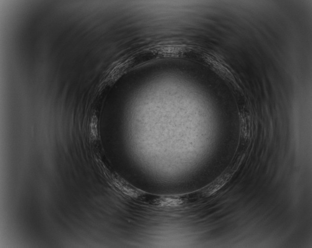 X0000052640718200507160157