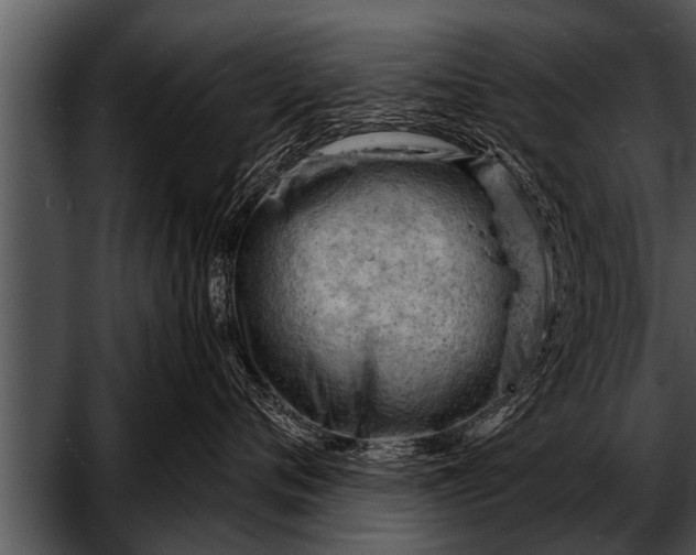 X0000052640720200507160157