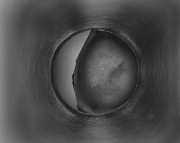 X0000052640721200507160156