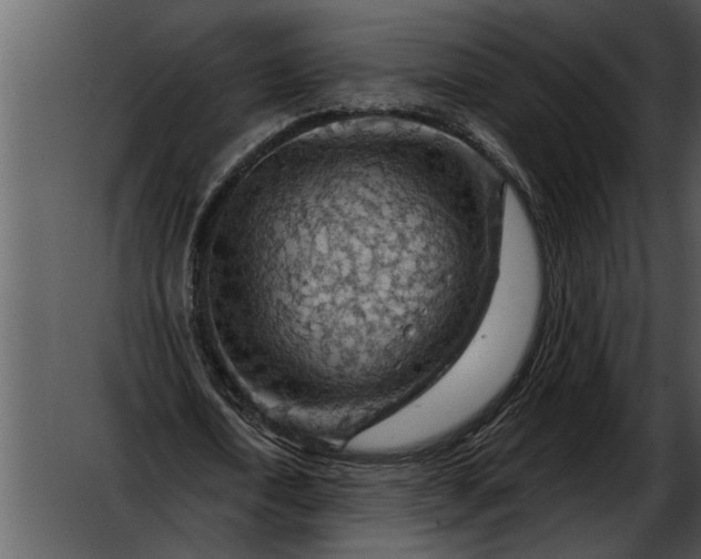 X0000052640722200507160156