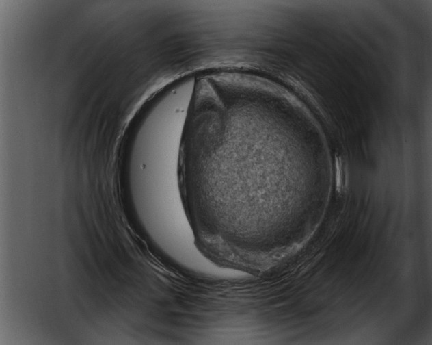 X0000052640723200507160156