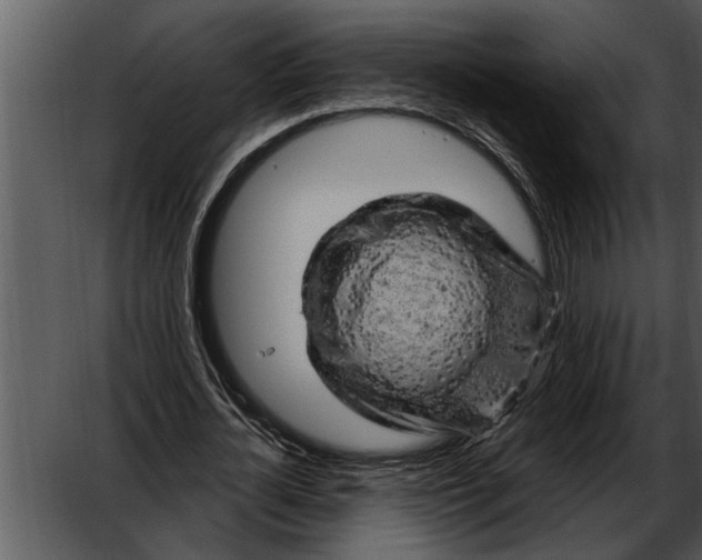 X0000052640724200507160156