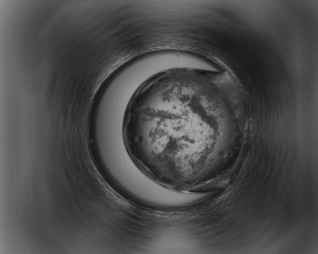 X0000052640725200507160156